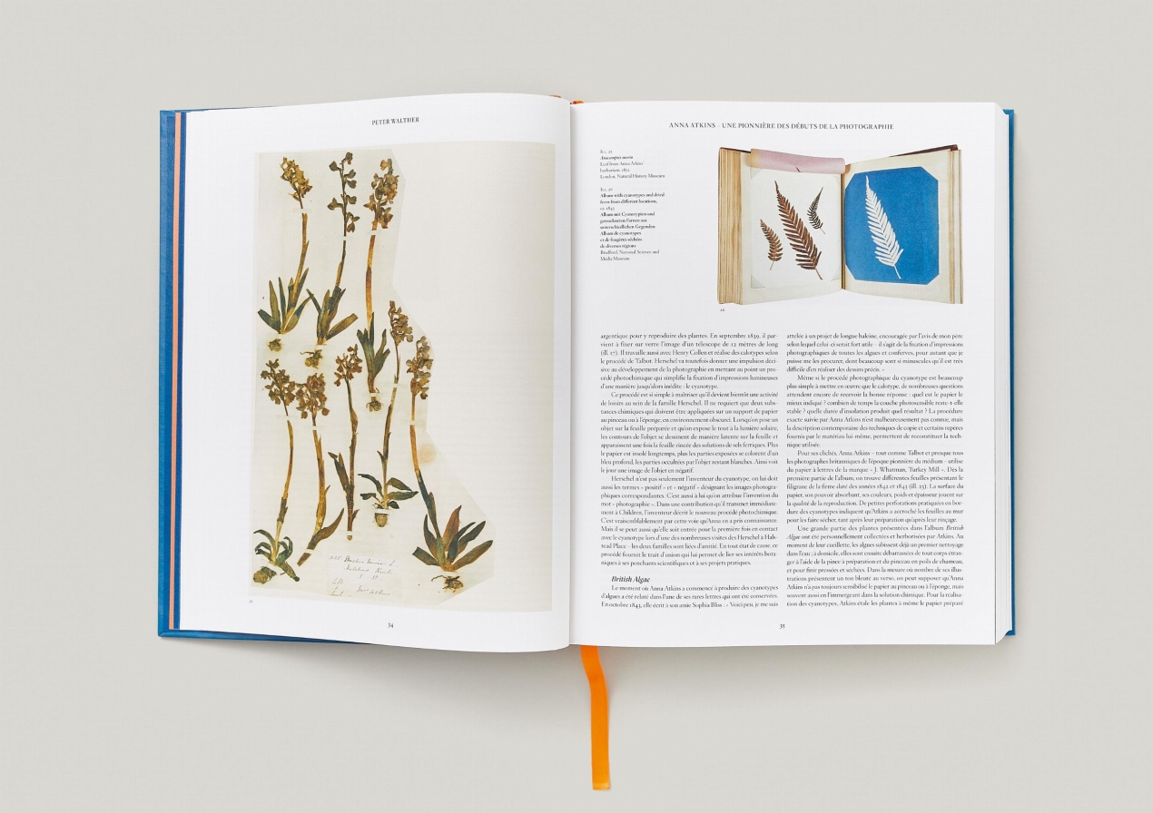 Anna Atkins. Cyanotypes - Immagine 12 di 18