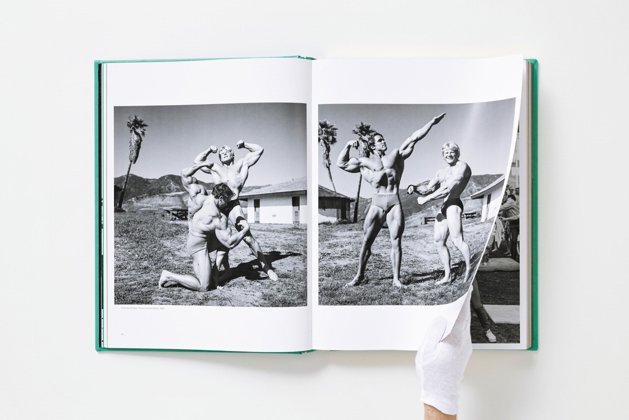 ARNOLD. Collector’s Edition - Immagine 12 di 41