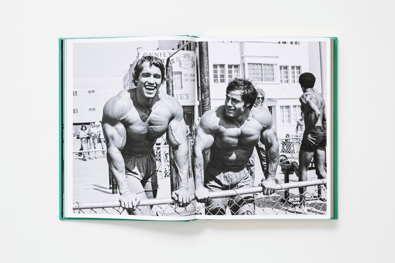 ARNOLD. Collector’s Edition - Immagine 13 di 41