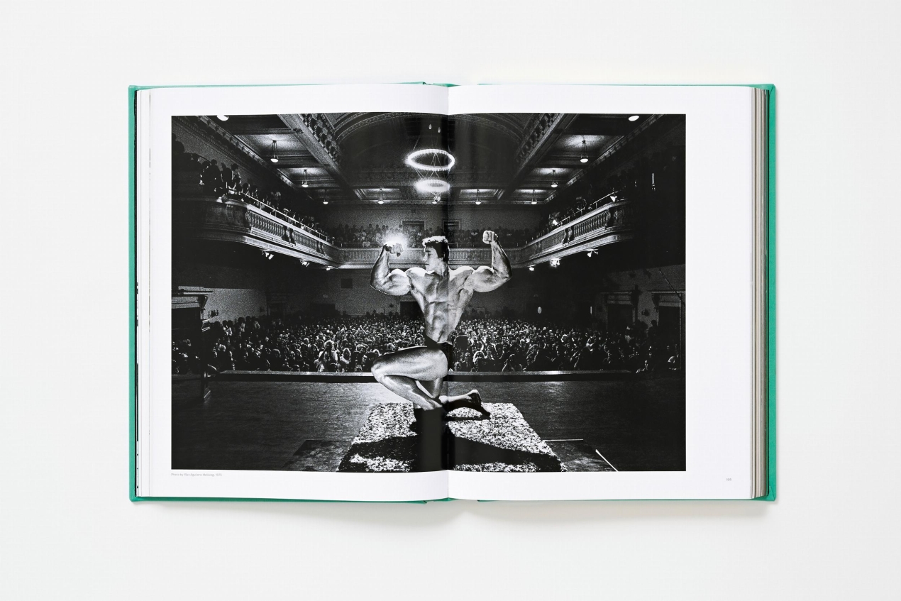 ARNOLD. Collector’s Edition - Immagine 14 di 41