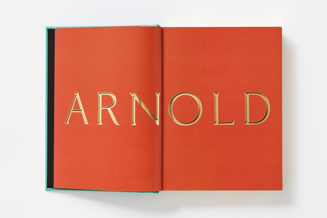 ARNOLD. Collector’s Edition - Immagine 28 di 41