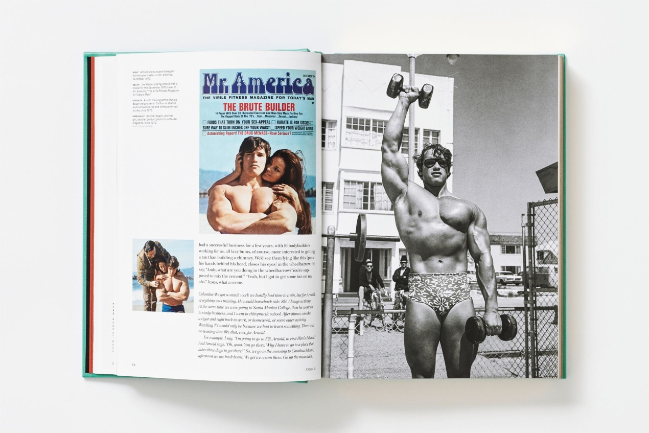 ARNOLD. Collector’s Edition - Immagine 33 di 41