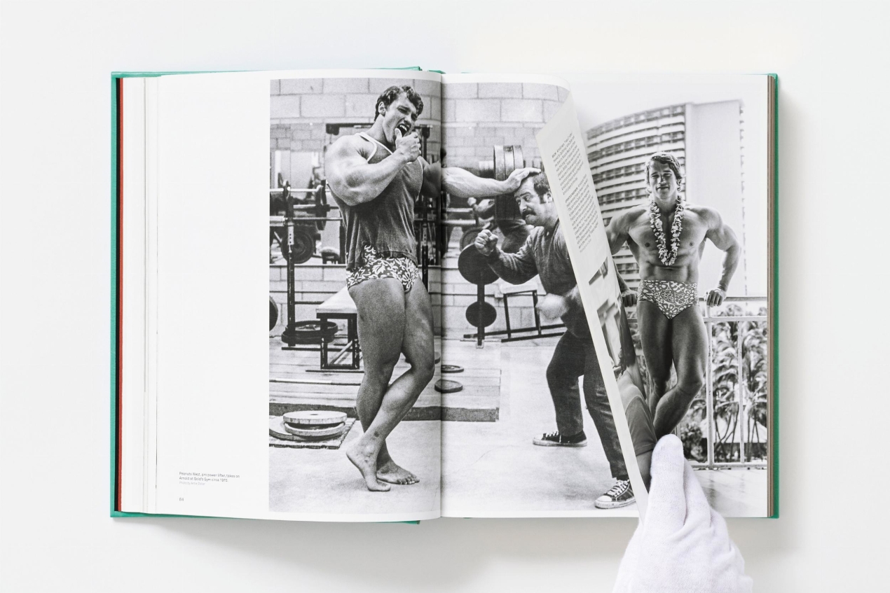 ARNOLD. Collector’s Edition - Immagine 34 di 41