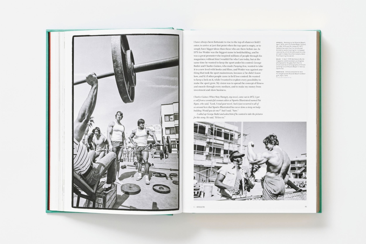 ARNOLD. Collector’s Edition - Immagine 35 di 41