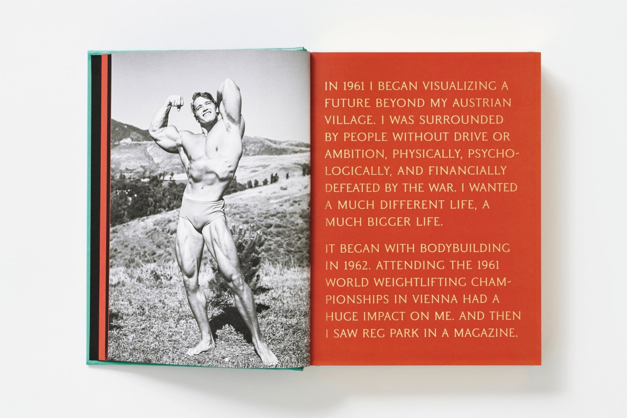 ARNOLD. Capitello Edition - Immagine 29 di 40