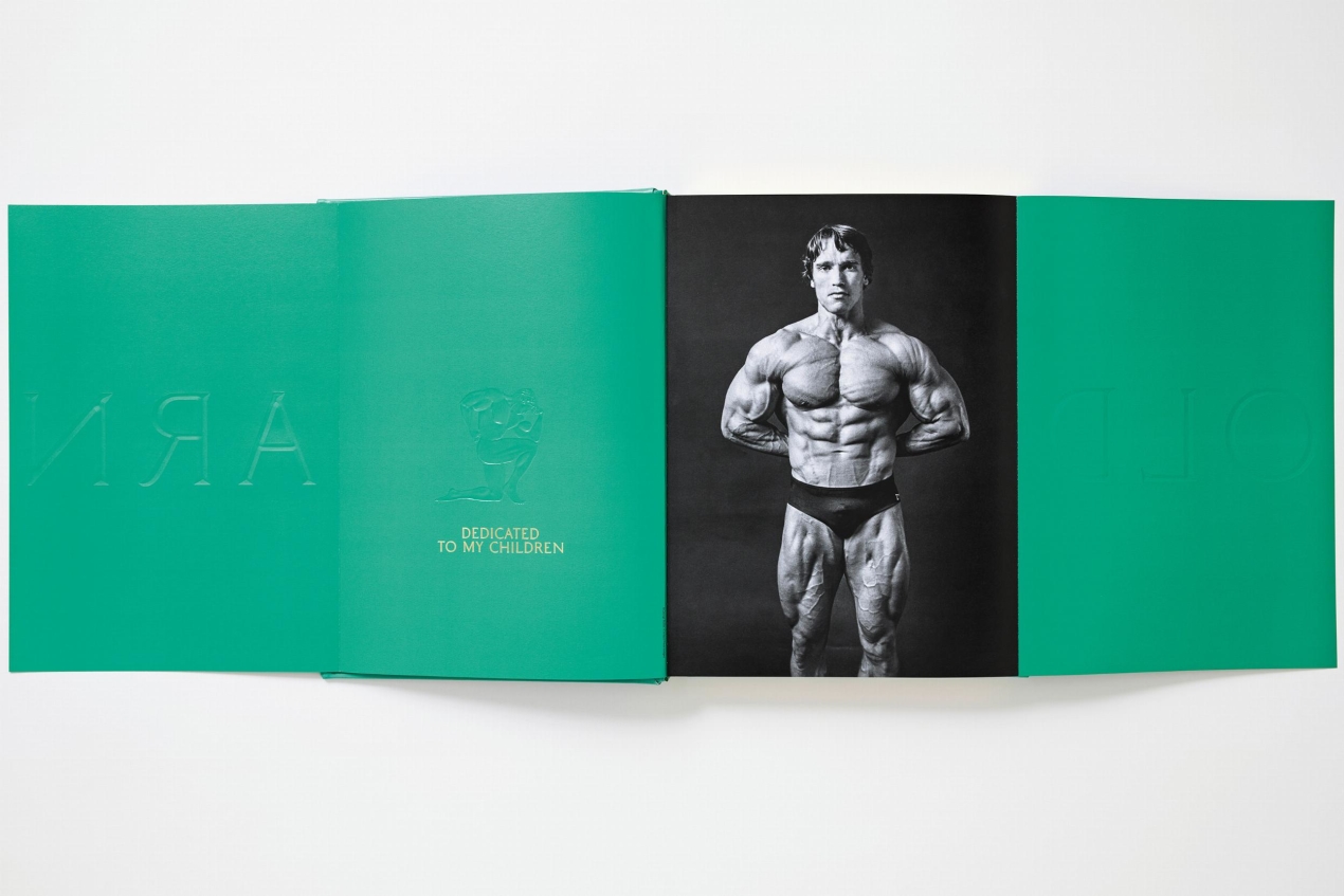 ARNOLD. Collector’s Edition - Immagine 7 di 41