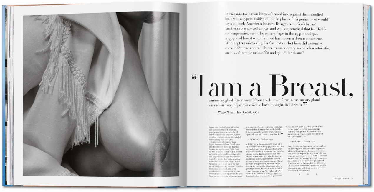 The Big Book of Breasts - Image 2 de 5