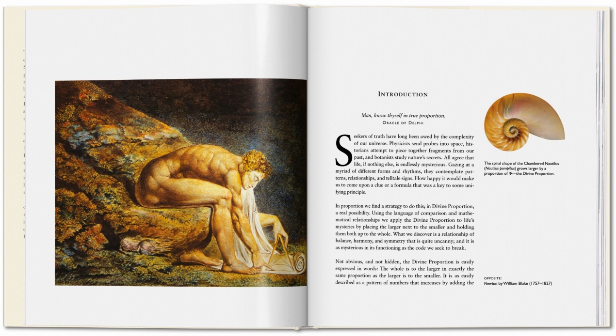 El Código Secreto - Imagen 2 de 6