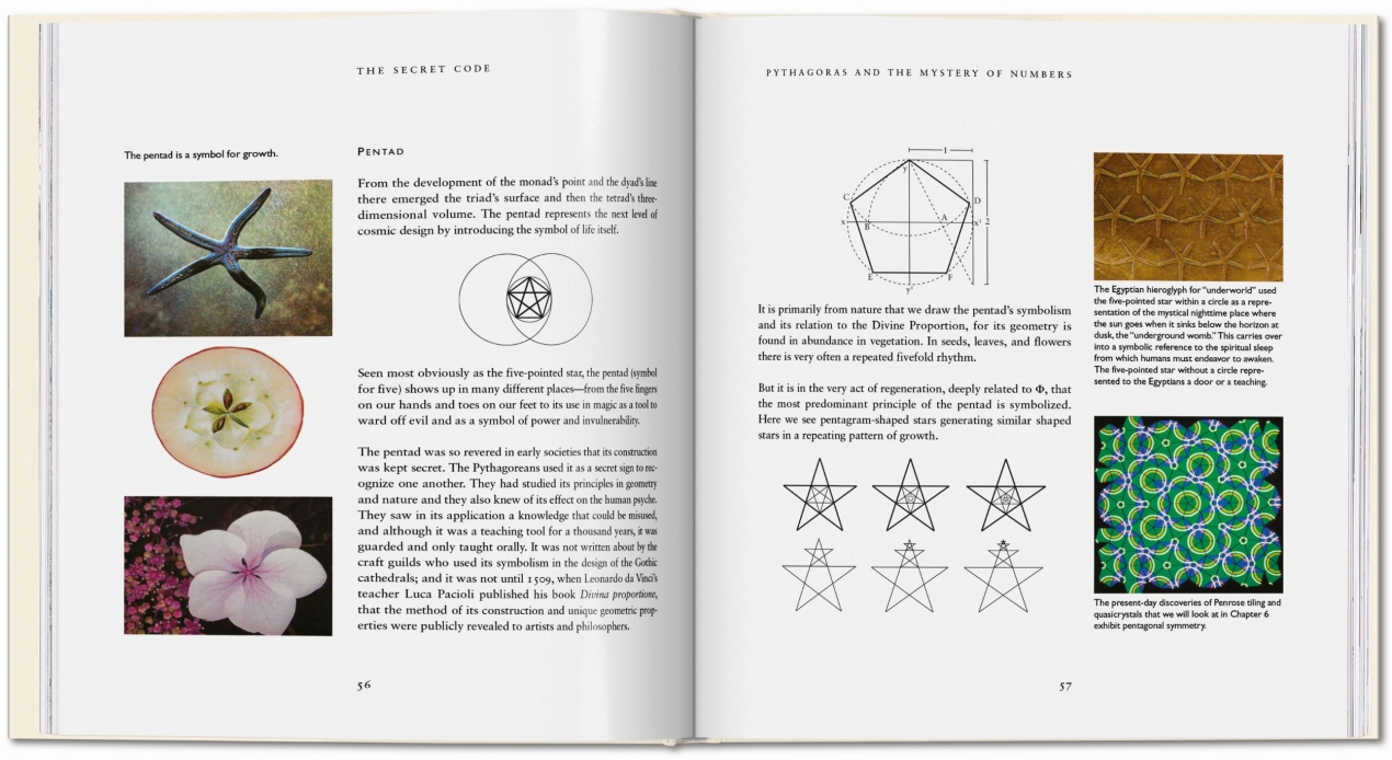 El Código Secreto - Imagen 4 de 6