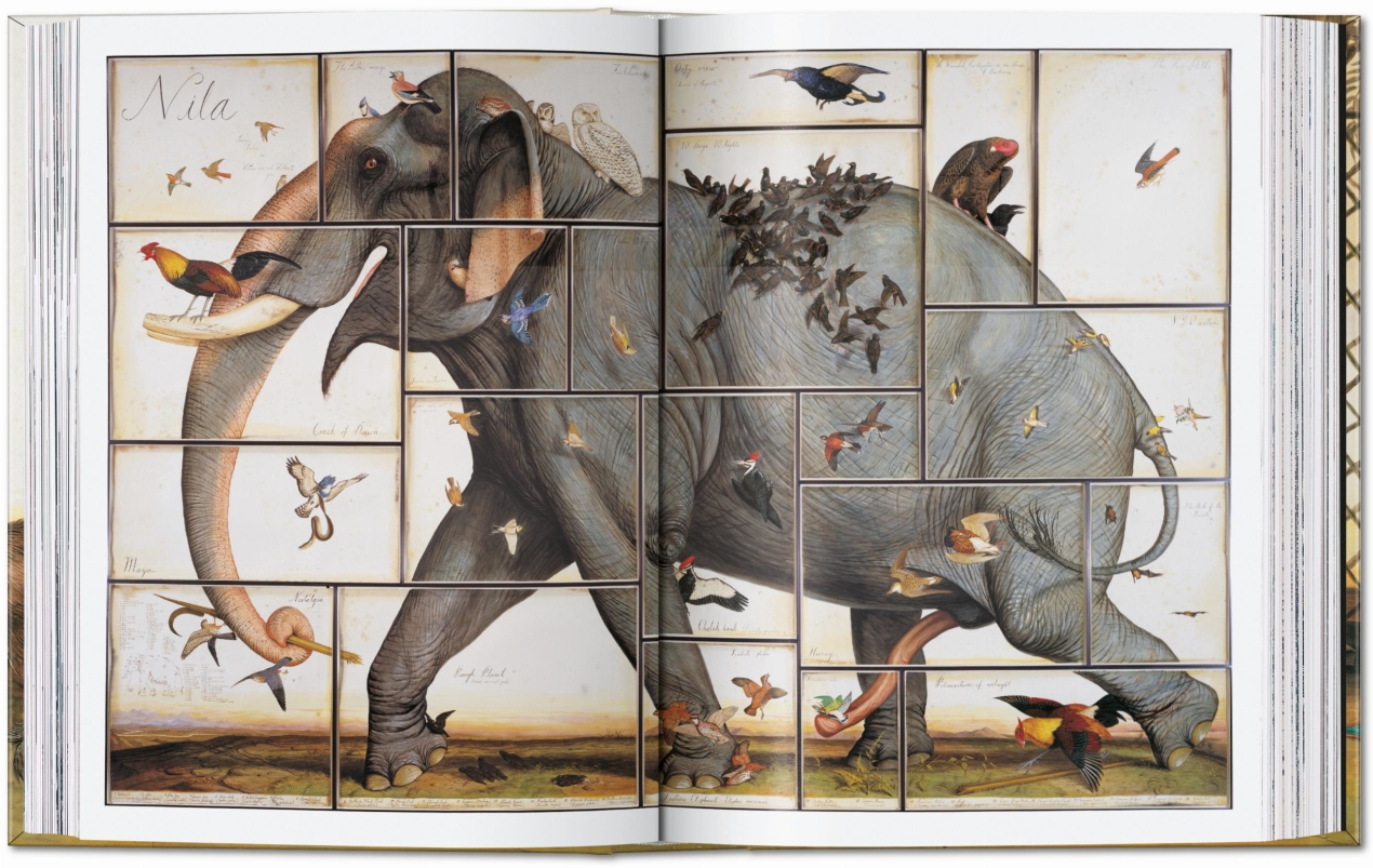 Walton Ford. 40th Ed. - Image 5 of 9