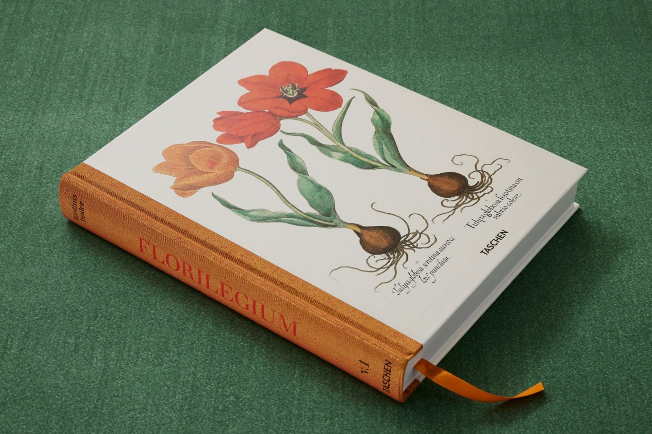 Besler. The Garden at Eichstätt - Image 3 of 22