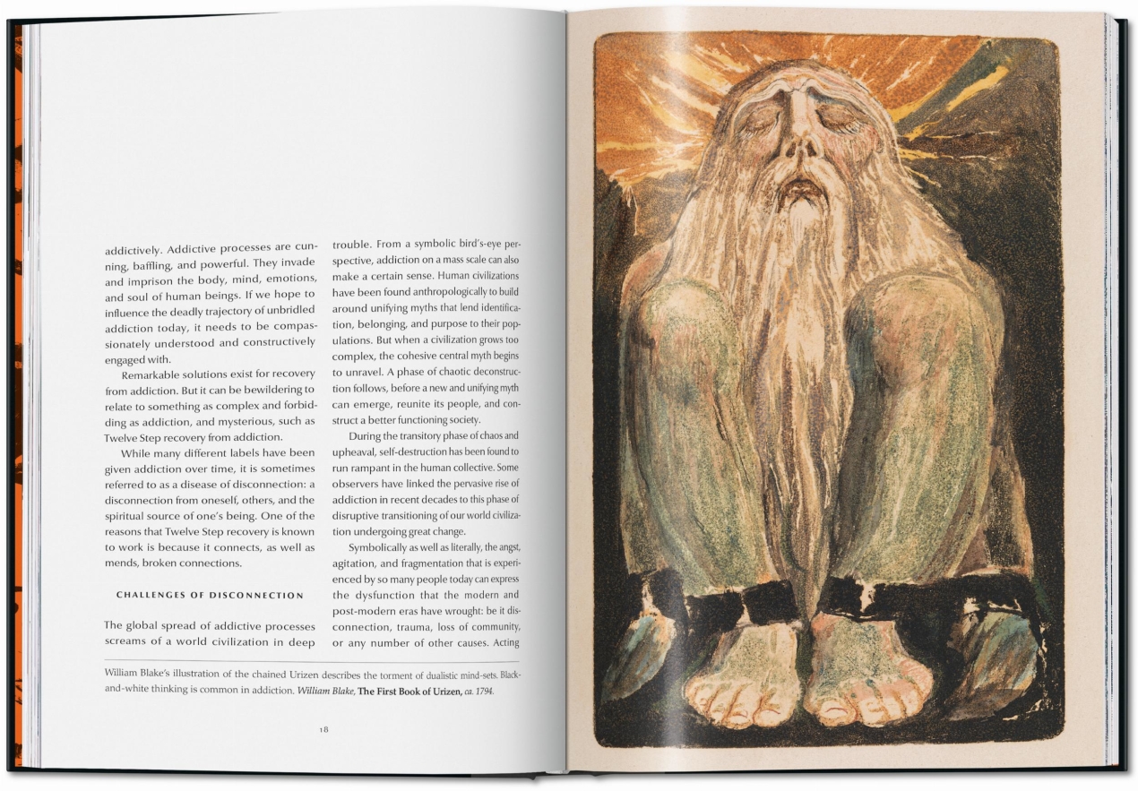 The 12 Steps. Symbols, Myths, and Archetypes of Recovery - Image 5 de 15