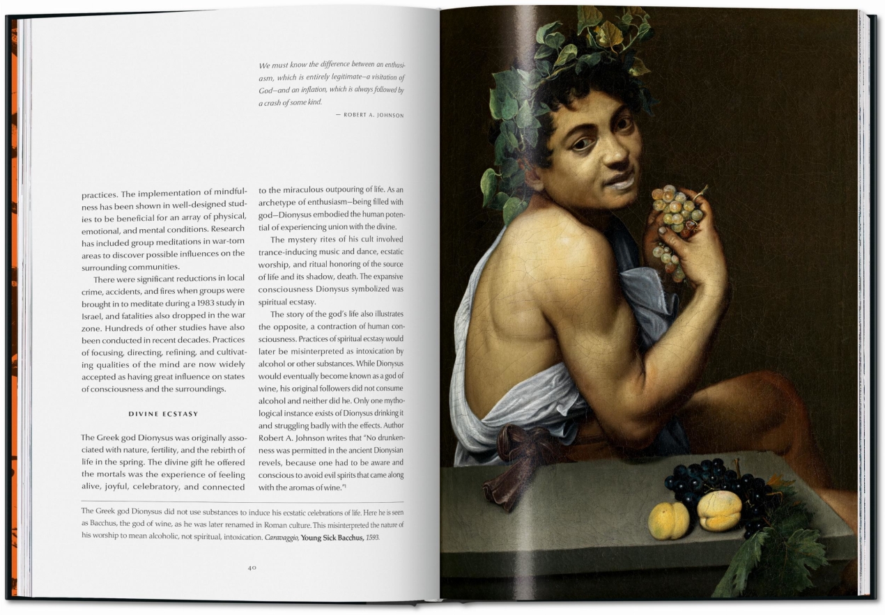 The 12 Steps. Symbols, Myths, and Archetypes of Recovery - Image 7 de 15