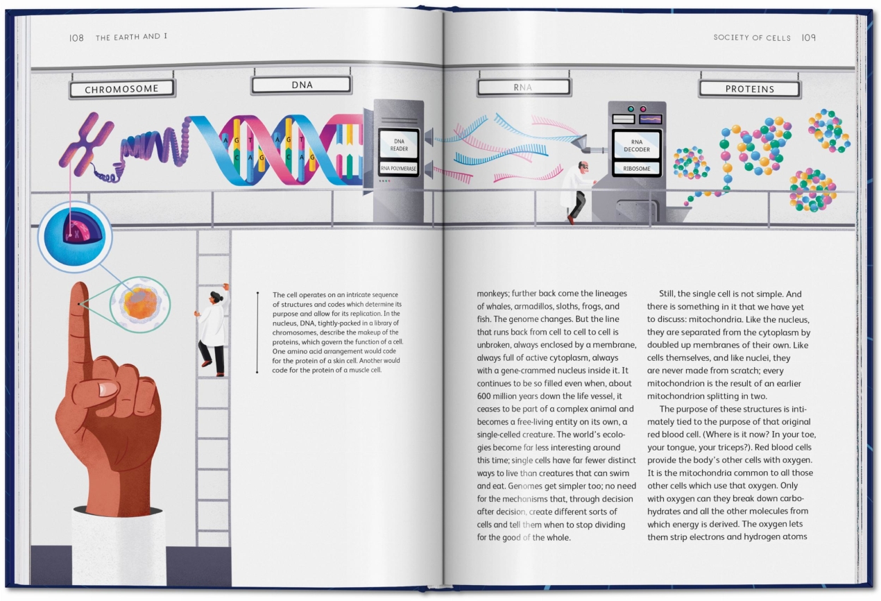Lovelock, The Earth & I - Immagine 8 di 9