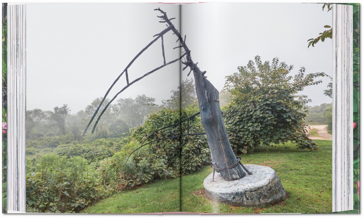 Julian Schnabel - Image 12 de 22