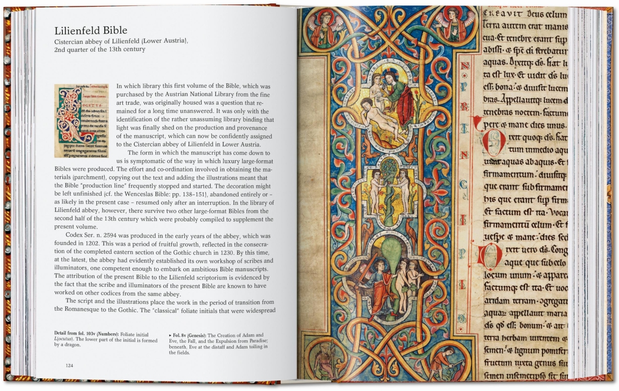 The Book of Bibles. 45th Ed. - Image 4 of 9