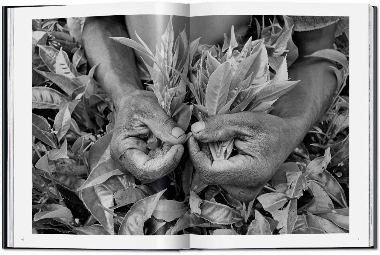 Sebastião Salgado. Workers. An Archaeology of the Industrial Age - Image 3 de 14