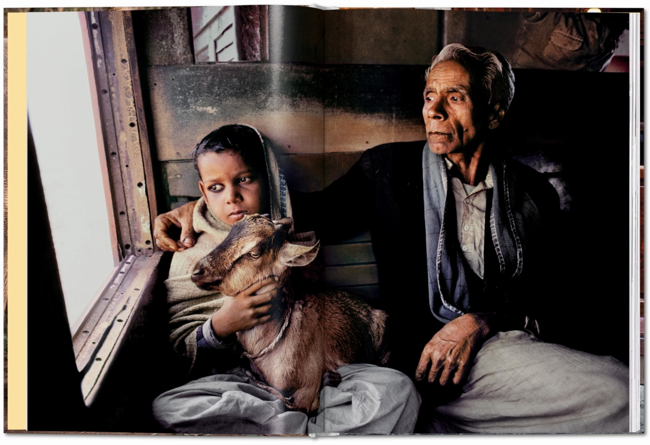Steve McCurry. Animals - Image 2 de 9
