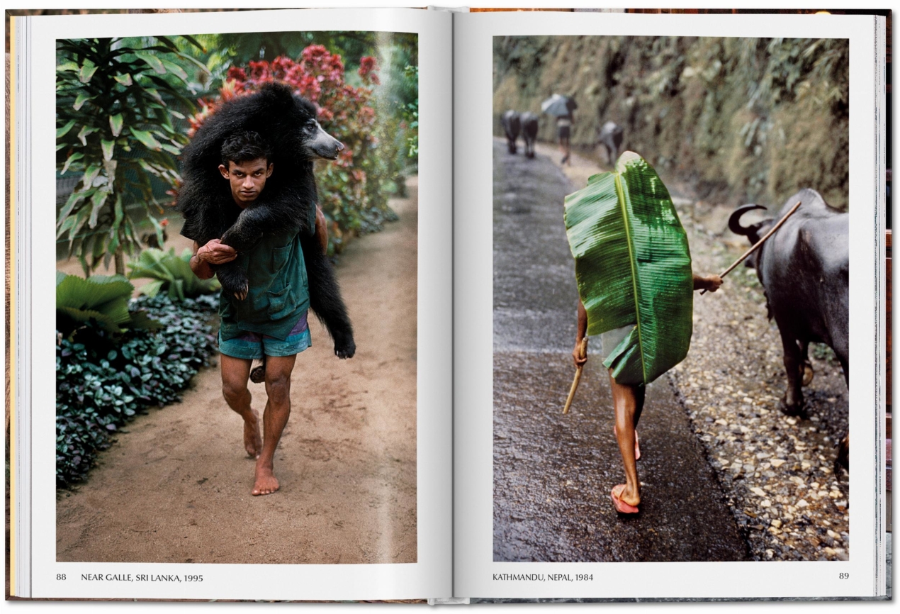 Steve McCurry. Animals - Image 5 de 9