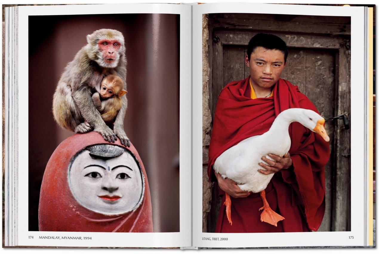 Steve McCurry. Animals - Image 9 de 9