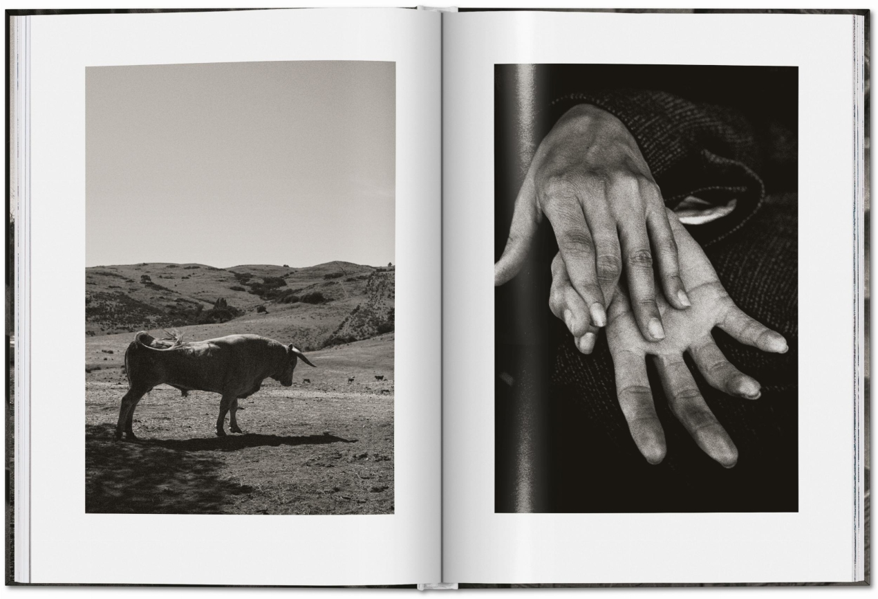 Peter Lindbergh. Untold Stories - Bild 7 von 9