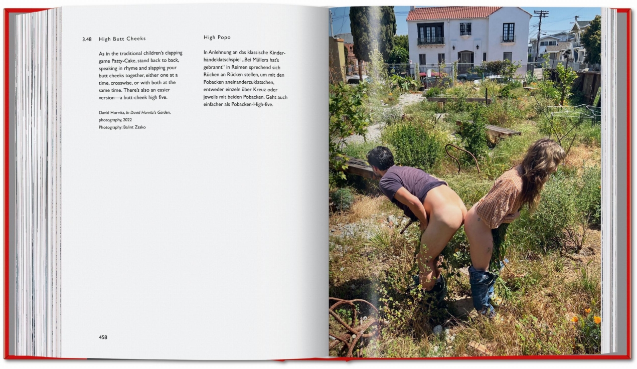 Carsten Höller. Book of Games - Image 12 de 21