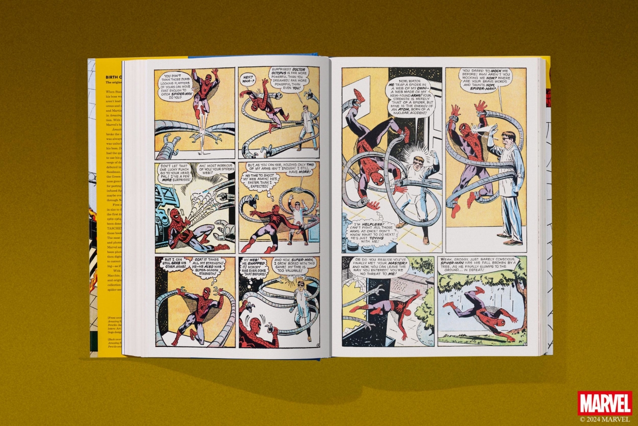 Marvel Comics Library. Spider-Man. 1962–1964 - Image 8 of 12