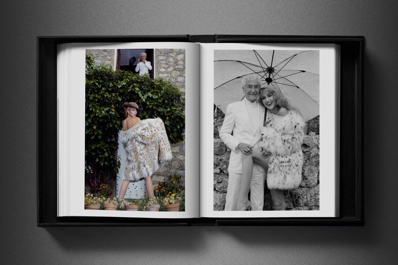 David Bailey. Eighties. Art Edition No. 1–100, ‘Yves Saint Laurent’, 1981 - Immagine 20 di 27