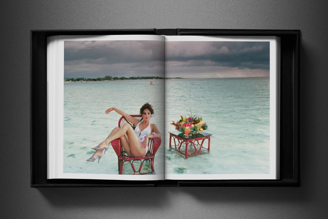 David Bailey. Eighties. Art Edition No. 1–100, ‘Yves Saint Laurent’, 1981 - Immagine 21 di 27