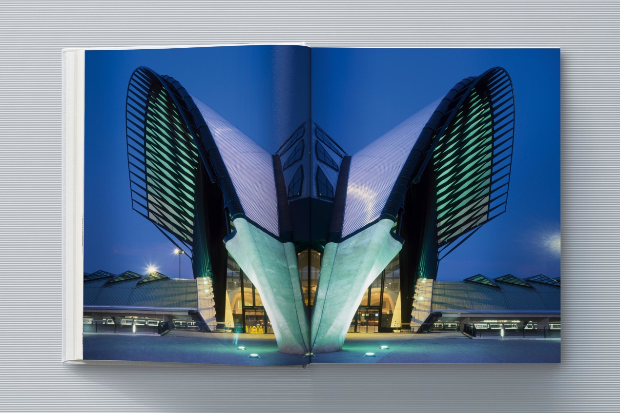 Calatrava. Complete Works 1979–Today. Art Edition 'Transfigured Tree. Messenger of Light', 2023 - Imagen 7 de 32