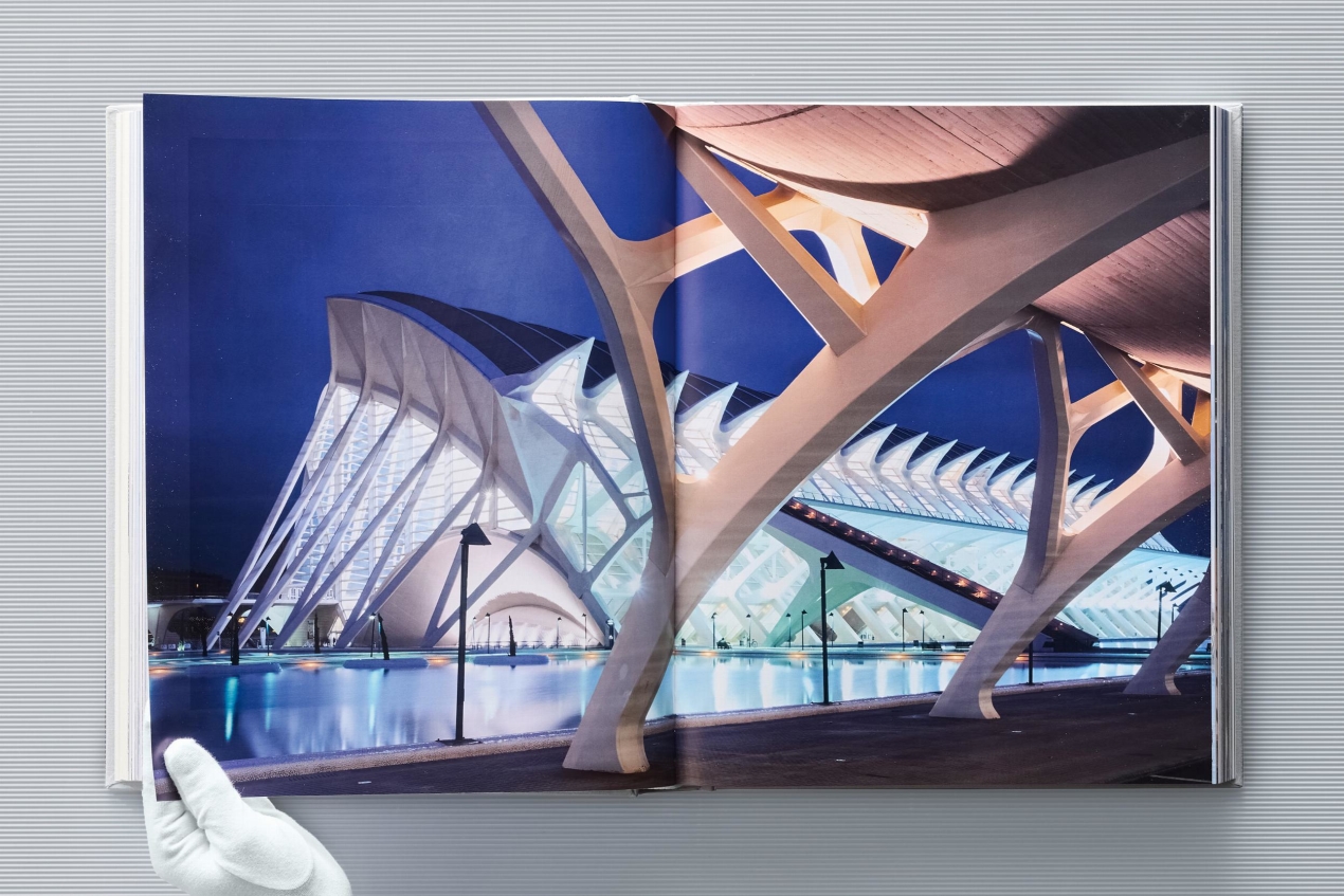 Calatrava. Complete Works 1979–Today. Art Edition 'Transfigured Tree. Messenger of Light', 2023 - Imagen 9 de 32