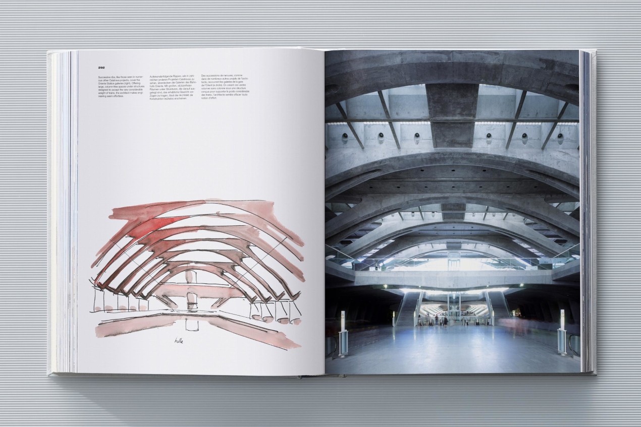 Calatrava. Complete Works 1979–Today. Art Edition 'Transfigured Tree. Messenger of Light', 2023 - Imagen 11 de 32