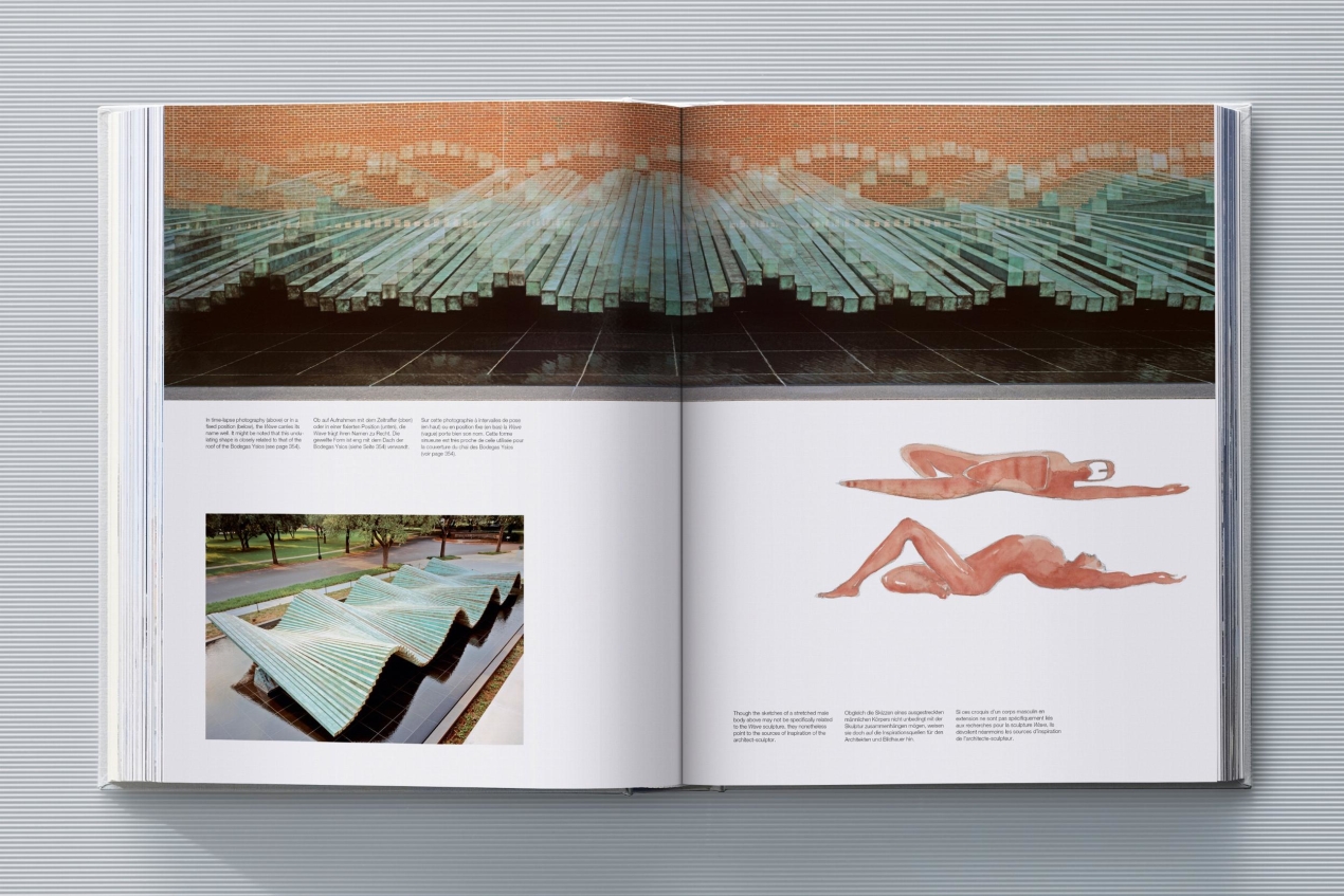 Calatrava. Complete Works 1979–Today. Art Edition 'Transfigured Tree. Messenger of Light', 2023 - Imagen 15 de 32