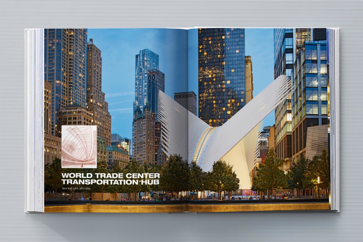 Calatrava. Complete Works 1979–Today. Art Edition 'Transfigured Tree. Messenger of Light', 2023 - Imagen 16 de 32