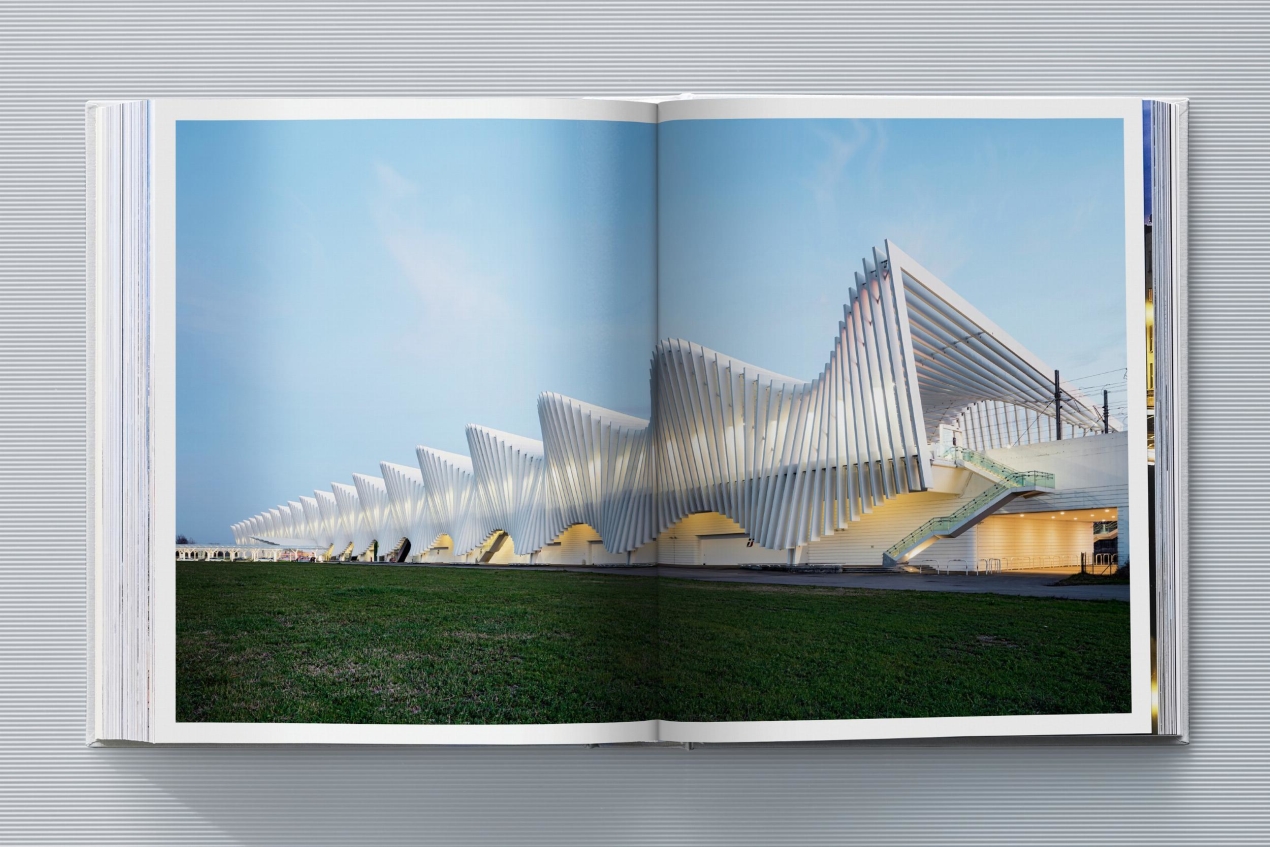 Calatrava. Complete Works 1979–Today. Art Edition 'Transfigured Tree. Messenger of Light', 2023 - Imagen 22 de 32