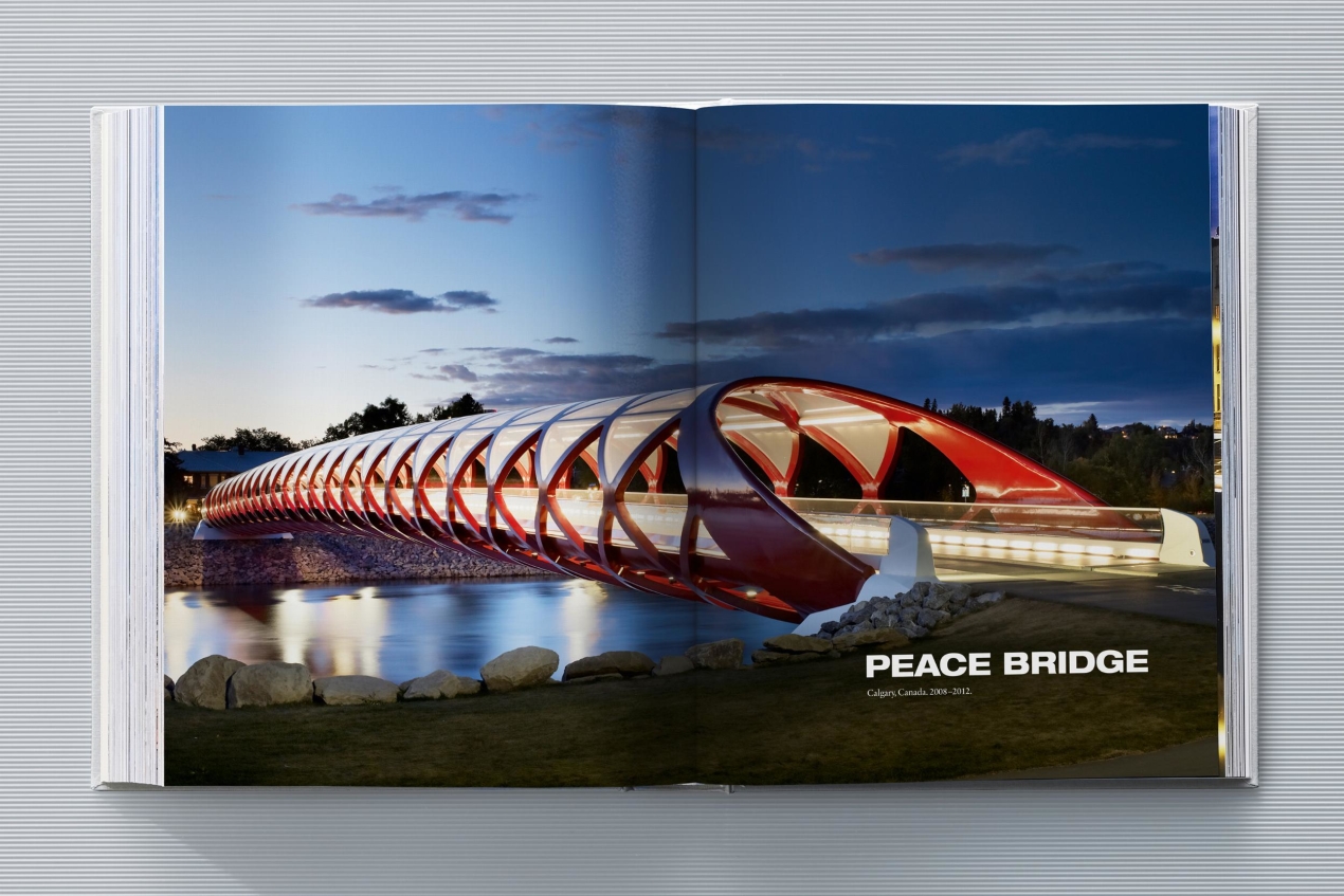 Calatrava. Complete Works 1979–Today. Art Edition 'Transfigured Tree. Messenger of Light', 2023 - Imagen 23 de 32
