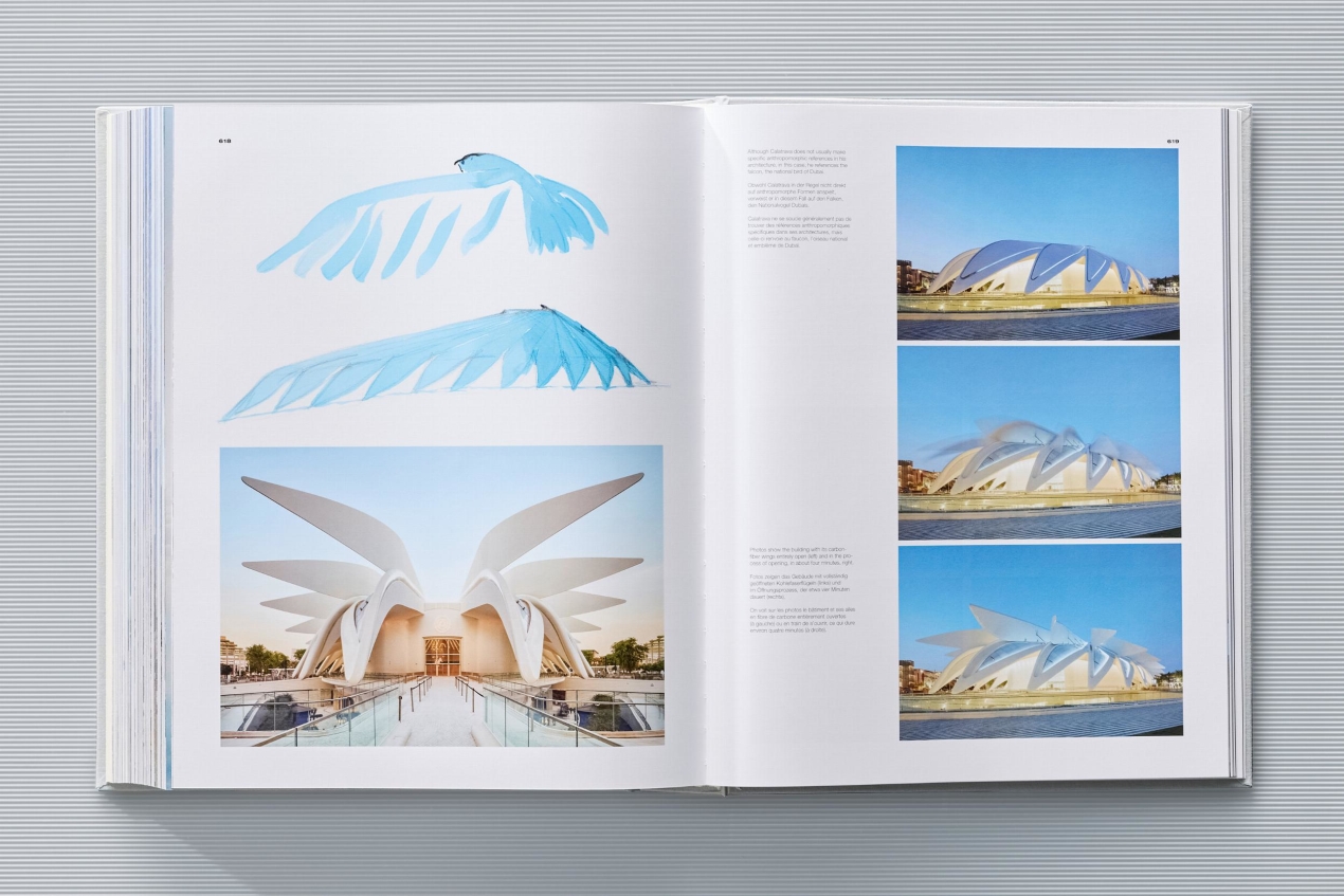 Calatrava. Complete Works 1979–Today. Art Edition 'Transfigured Tree. Messenger of Light', 2023 - Imagen 27 de 32