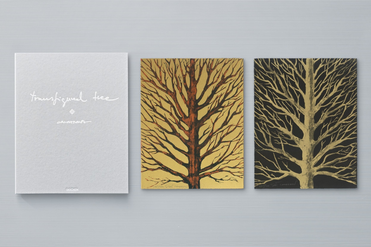 Calatrava. Complete Works 1979–Today. Art Edition 'Transfigured Tree. Messenger of Light', 2023 - Imagen 2 de 32