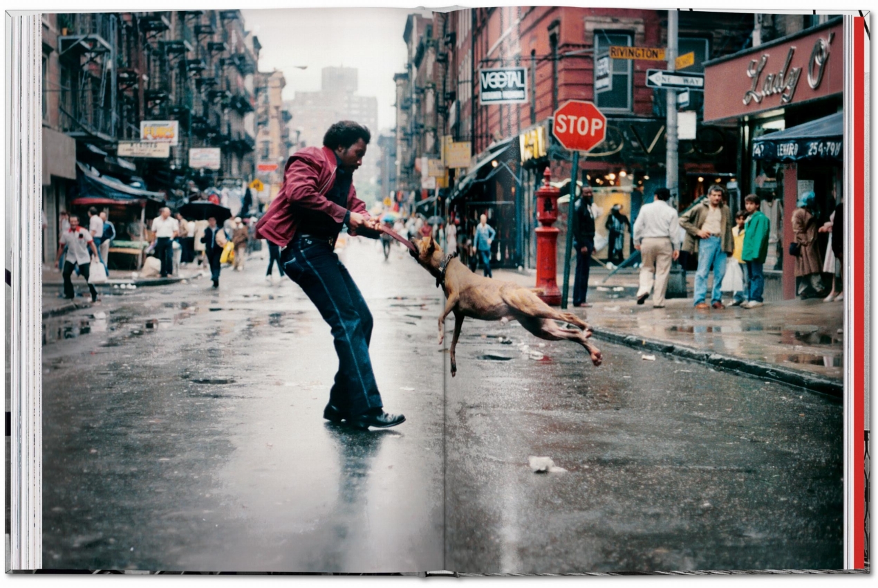 New York. Portrait of a City - Bild 6 von 7