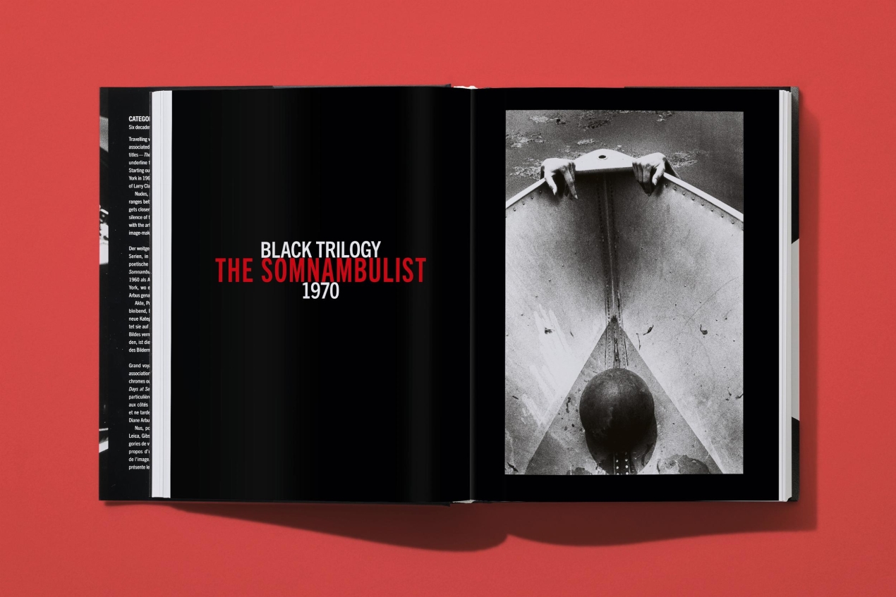 Ralph Gibson. Photographs 1960–2024. Art Edition No. 1–100 ‘Untitled, Elba, 1980’ - Immagine 10 di 18