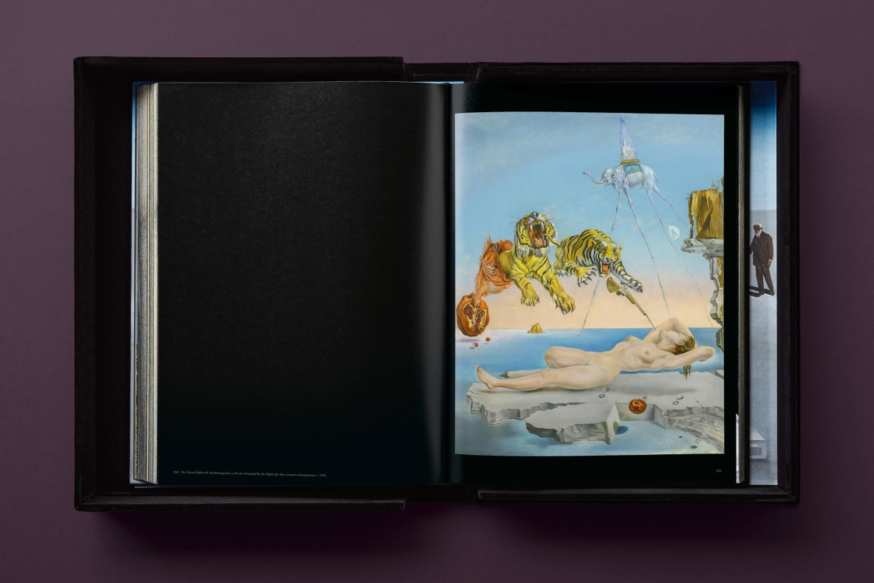 Dalí. BABY SUMO - Bild 21 von 49