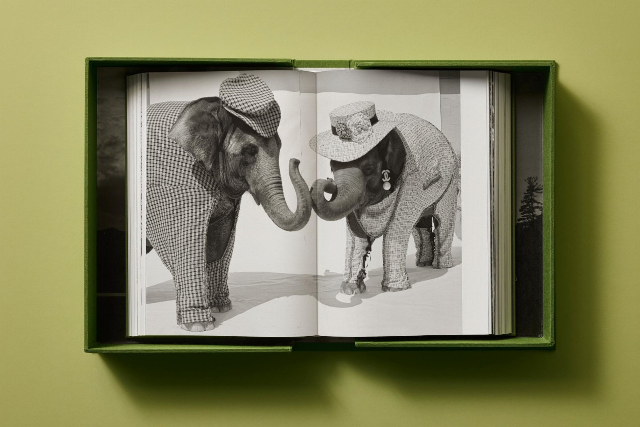 Bruce Weber. Art Edition No. 101–200, ‘Michael St. Pierre with Bonkers, Thousand Oaks, California’, 2004 - Image 13 de 33