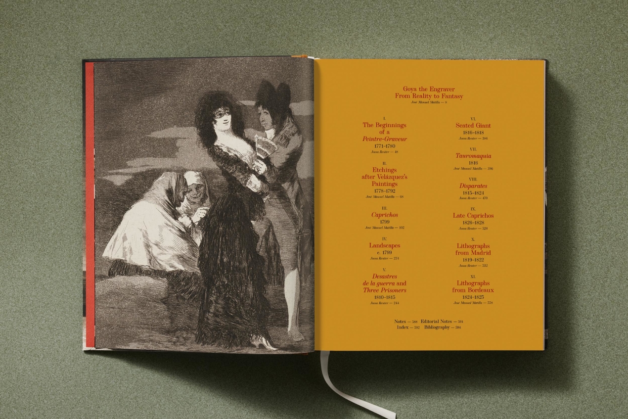 Goya. The Complete Prints - Immagine 5 di 30