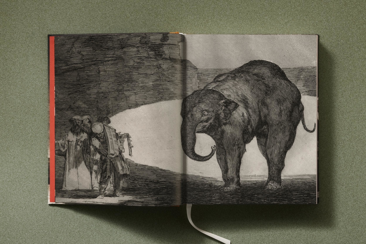 Goya. The Complete Prints - Immagine 6 di 30