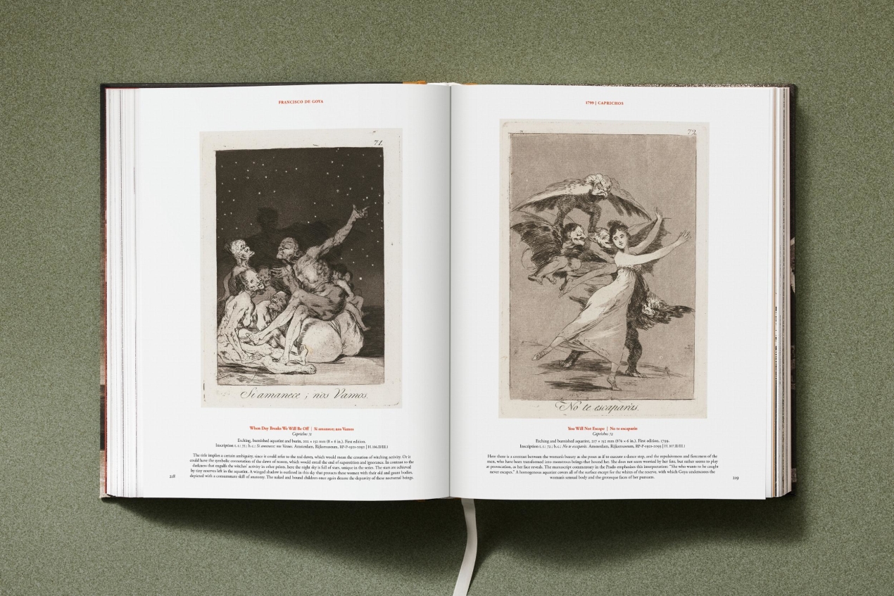 Goya. The Complete Prints - Immagine 15 di 30