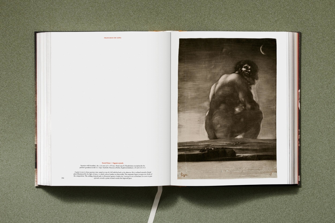 Goya. The Complete Prints - Immagine 22 di 30