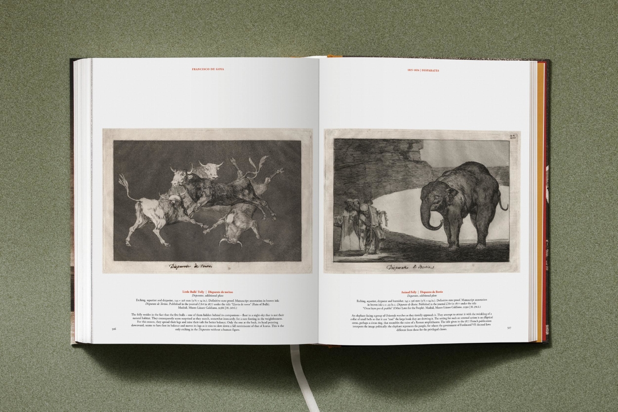 Goya. The Complete Prints - Immagine 29 di 30