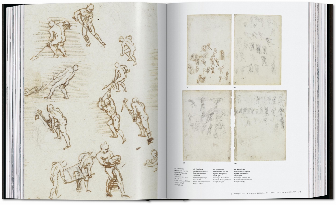 Leonardo. The Complete Paintings and Drawings - Image 14 of 25
