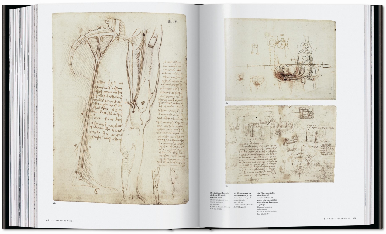 Leonardo. The Complete Paintings and Drawings - Image 18 of 25