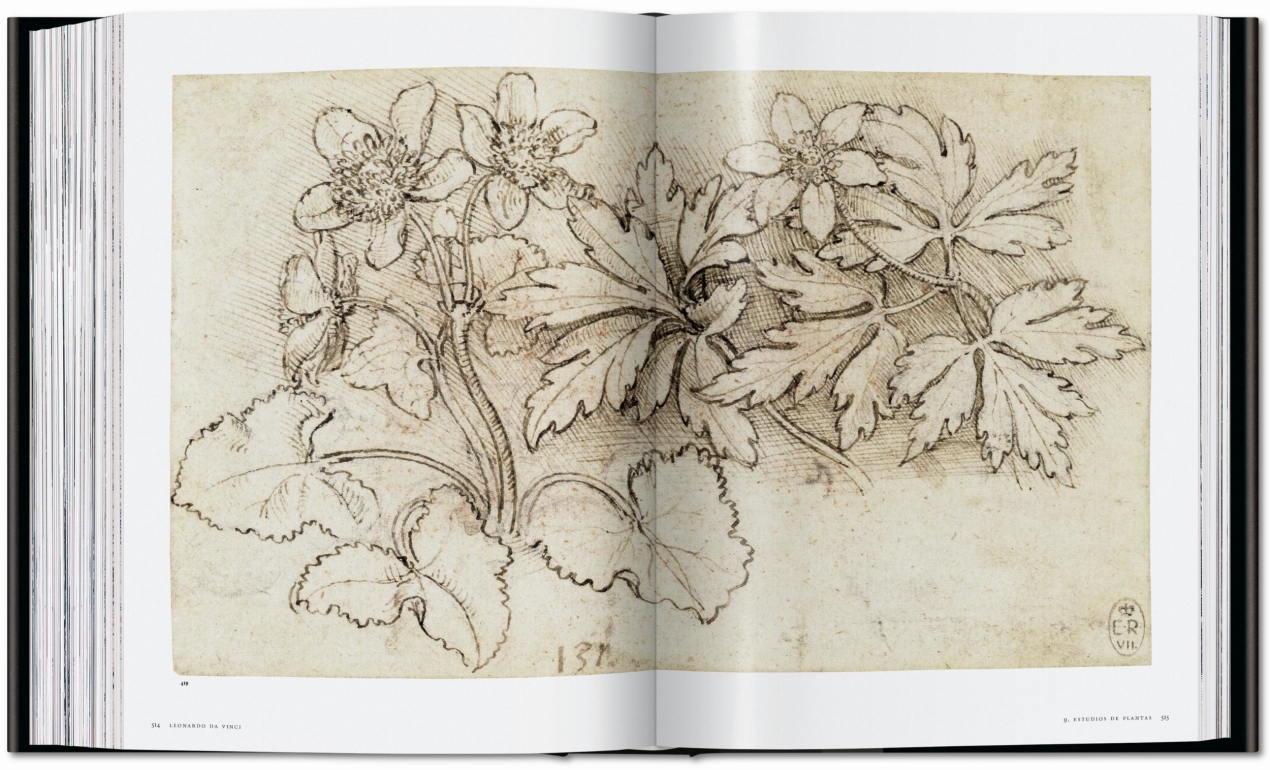 Leonardo. The Complete Paintings and Drawings - Image 19 of 25